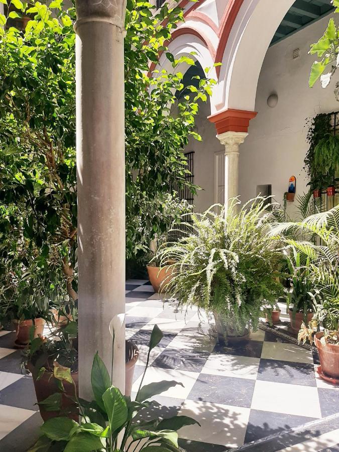 Downtown Loft In A 16Th Century Convent Lejlighed Sevilla Eksteriør billede