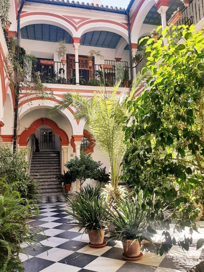 Downtown Loft In A 16Th Century Convent Lejlighed Sevilla Eksteriør billede